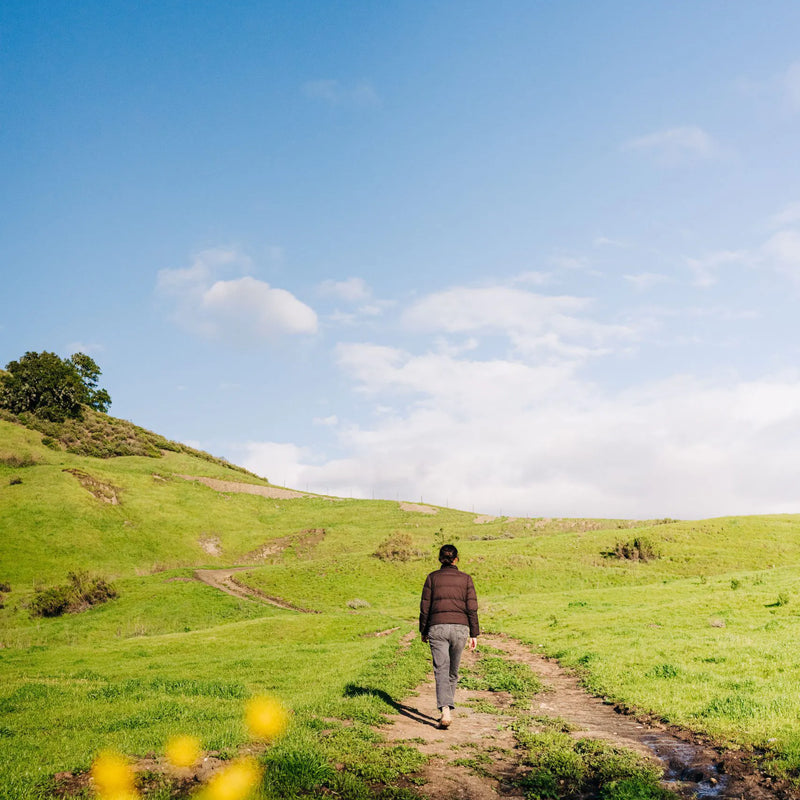 Wellness Weekend at Alisal Ranch