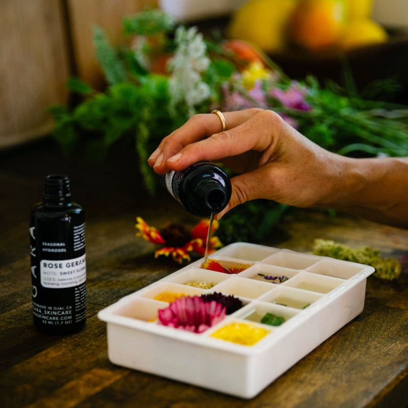 IN THE KITCHEN : Hydrosol Ice Cubes