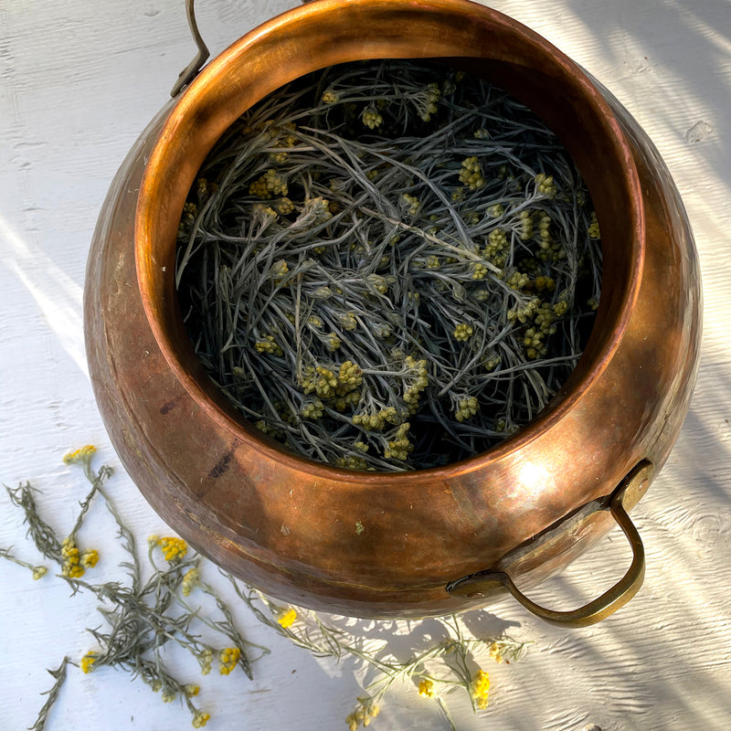 NEW Helichrysum + Rose Geranium Hydrosol
