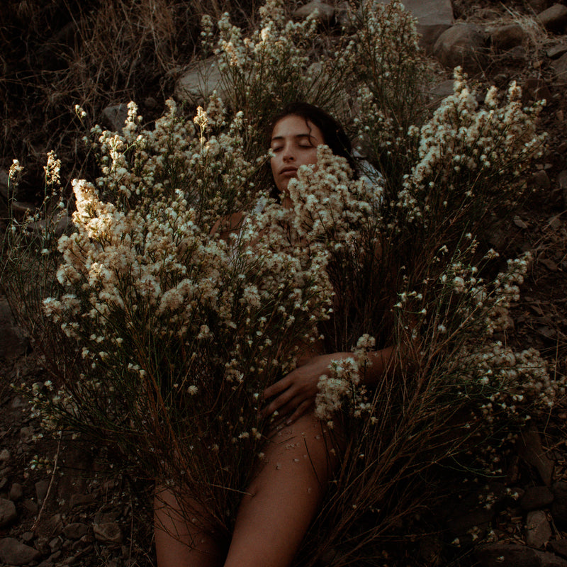 LUGHNASADH // The Grain Mother and The First Harvest