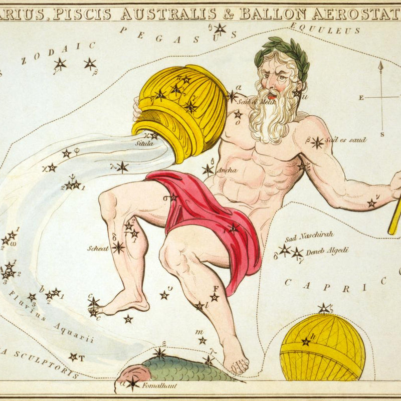 Birth of a New Human