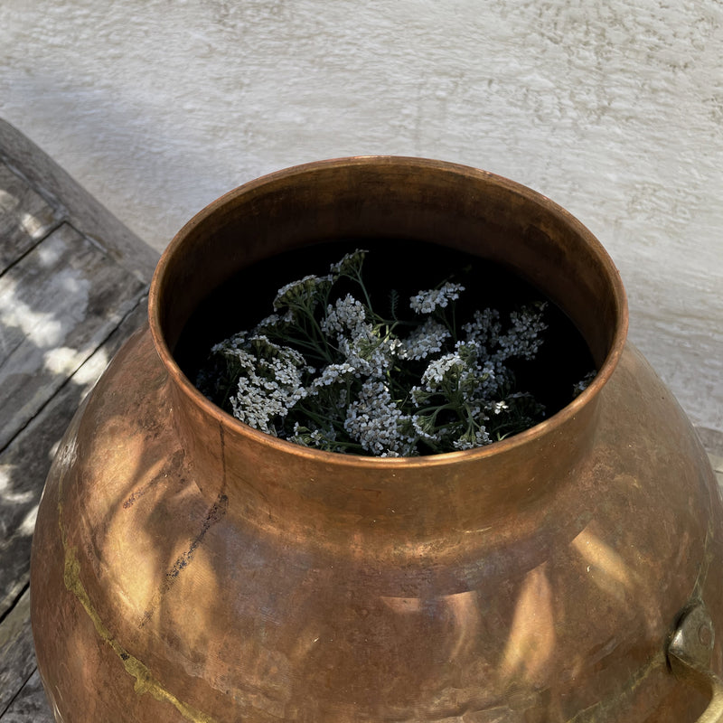NEW Yarrow + Rosemary Hydrosol