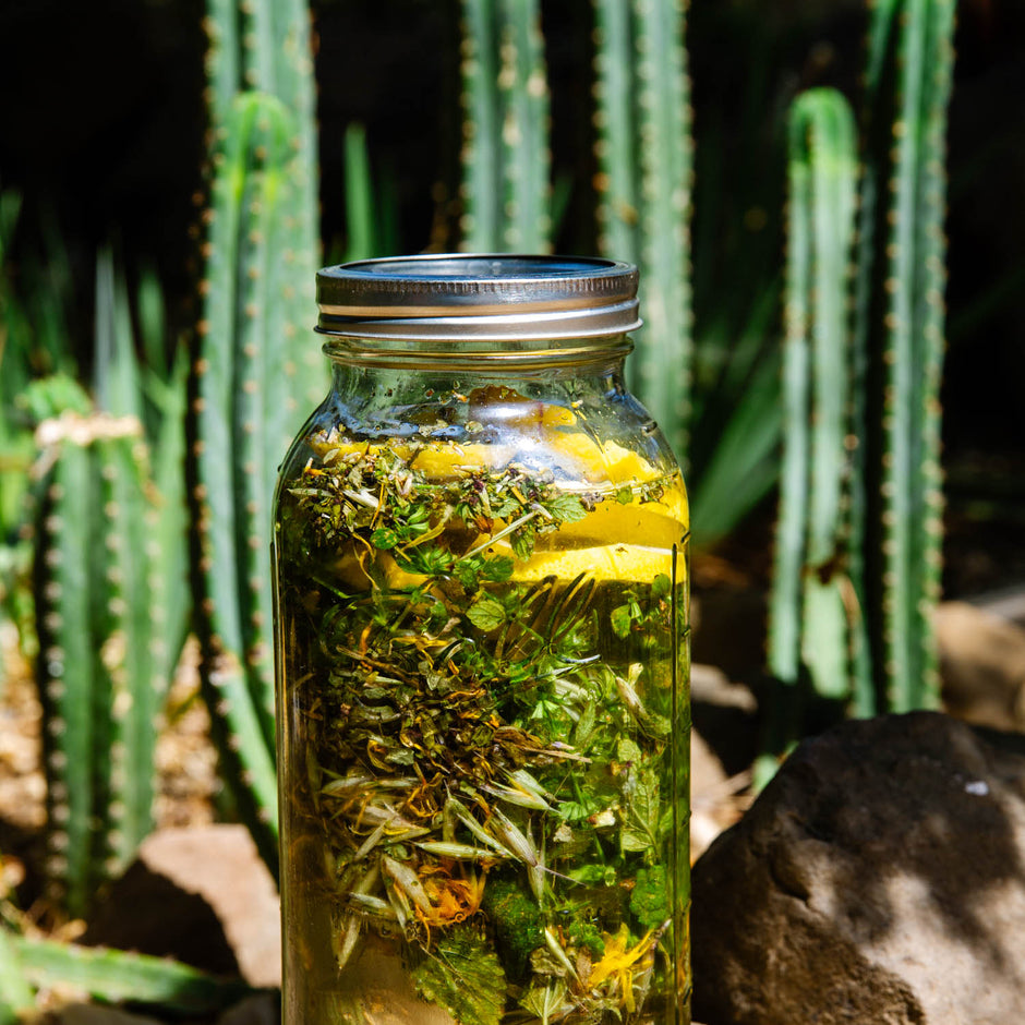 IN THE KITCHEN: Hydrosol Infused Sun Tea