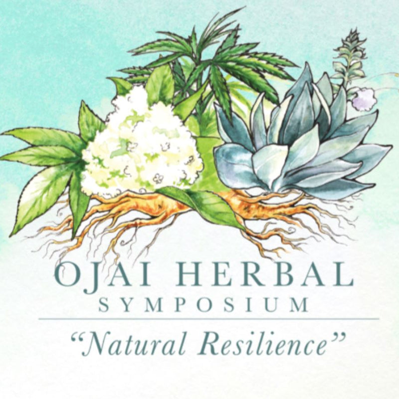 Ojai Herbal Symposium Market