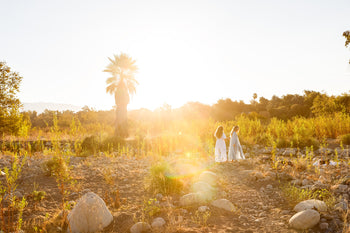 The Beauty of Becoming Retreat