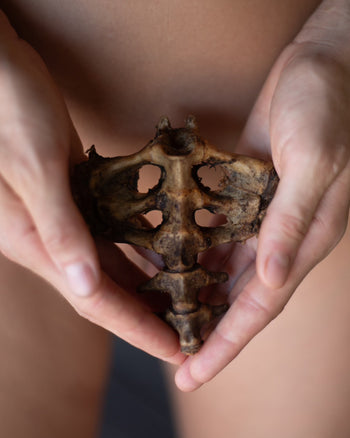 Womb Care with Jax Nora