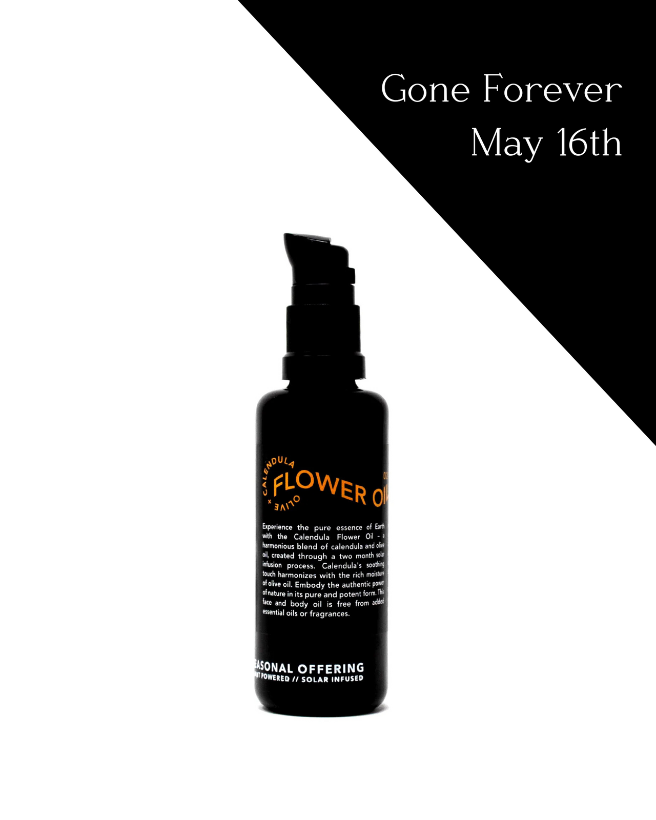 Calendula Flower Oil