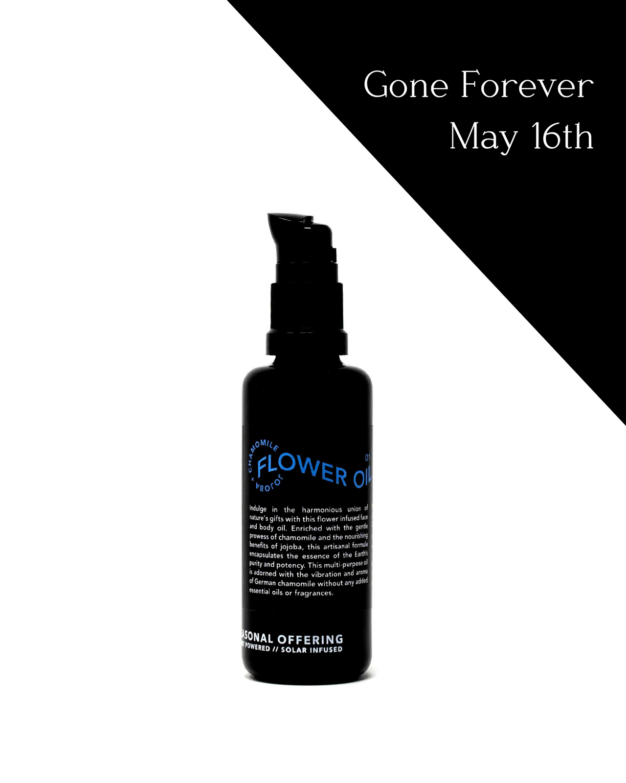 Chamomile Flower Oil