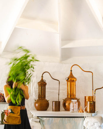Alchemy of the Senses: A Hydrosol Distillation Workshop