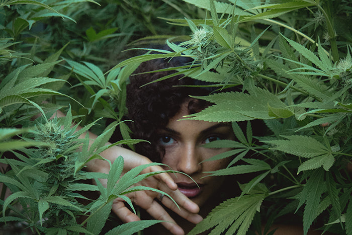 woman in hemp leaves in garden