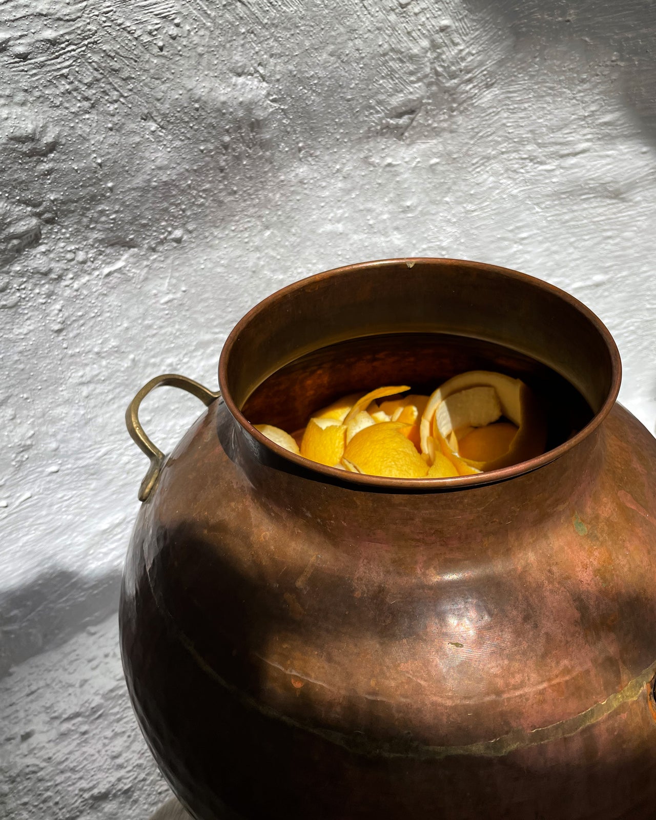 Alchemy of the Senses: A Hydrosol Distillation Workshop