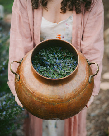 Master Class in Plant Alchemy