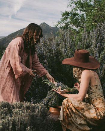 Master Class in Plant Alchemy
