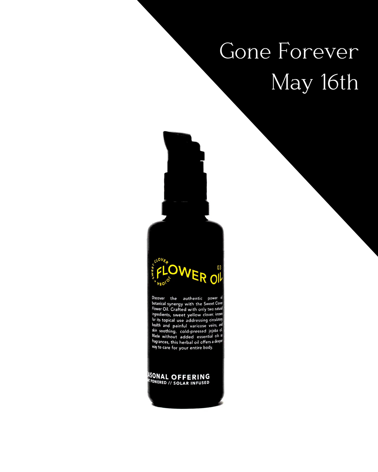 Sweet Clover Flower Oil