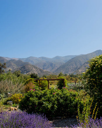 gara-skincare-ojai-california-garden-1