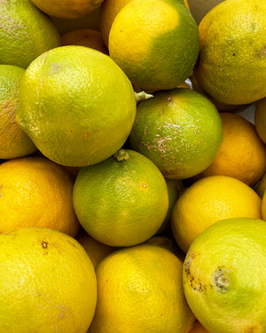 gara skincare bergamot hydrosol fruit image 1
