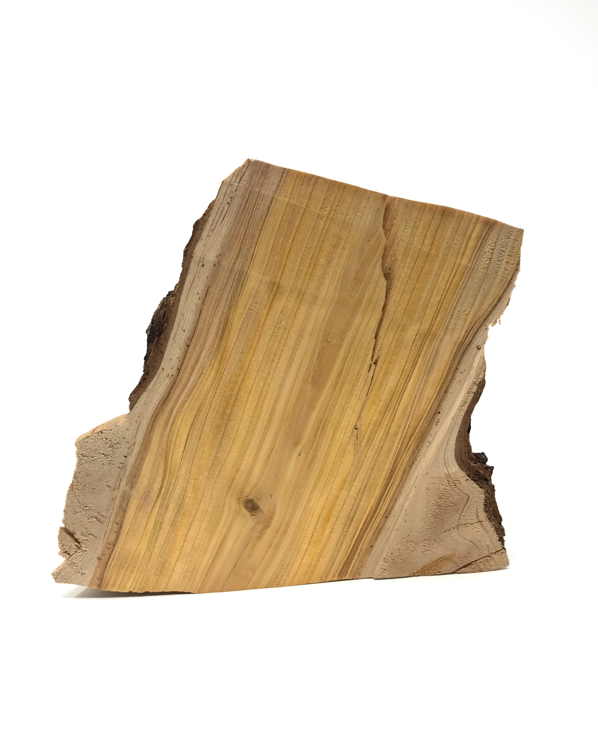 gara skincare cedar wood trunk close up